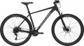 Winner Solid GT 29 2024 frame L 