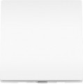 TP-LINK Tapo S210 