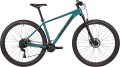 Winner Solid GT 29 2025 frame L