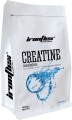 IronFlex Creatine Monohydrate 1000 г