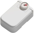 PETWANT F22