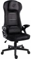 GT Racer X-5993