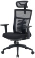 OfficePro Balance OC550
