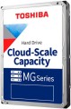 Toshiba MG11 MG11ACA24TE 24 TB SATA