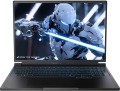 THUNDEROBOT Radiant 16 RS16 (RS16-R97945HX57TC1Q240ARB)