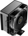 Ocypus Gamma A40