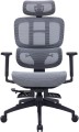 OfficePro Skyline OC750