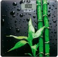 Scarlett SC-BS33E051
