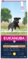 Eukanuba Junior L/XL Breed Chicken 