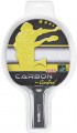 Joola Carbon Control 