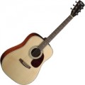 Cort Earth Pack 