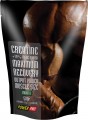 Power Pro Creatine 500 г