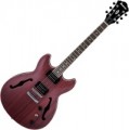 Ibanez AS53