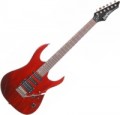 Washburn WR150 