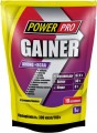 Power Pro Gainer Amino/BCAA 1 кг