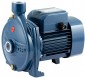 Pedrollo CP100