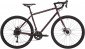 Pride RocX Tour 2020 frame M