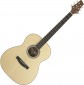 Stagg NA30F