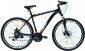 Ardis Dacota 29 frame 19