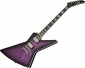 Epiphone Prophecy Extura