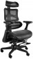 Unique Ergothrone with Footstool