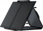 EcoFlow 60W Portable Solar Panel