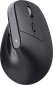 Trust Bayo+ Multidevice Ergonomic Wireless Mouse