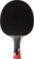 Stiga Pro Carbon