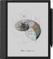 ONYX BOOX Note Air4 C