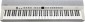 Kurzweil KA-P1