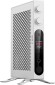 FiiO K19