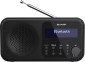 Sharp DR-P421