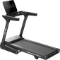 Generation Fitness Cervus