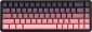 A-Jazz AK680 MAX Magnetic Rice Switch