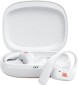 JBL Endurance Zone