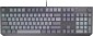 Endorfy Thock V2