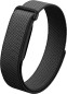 Fitbit Air