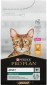 Pro Plan Adult Renal Plus Chicken
