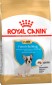 Royal Canin French Bulldog Puppy
