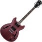 Ibanez AS53
