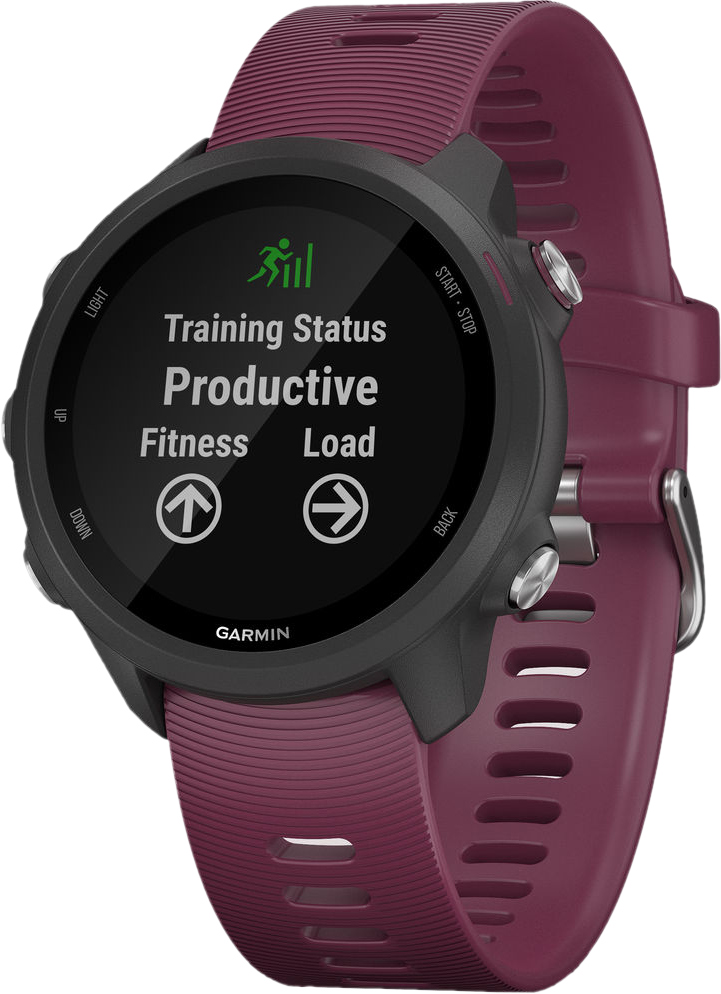 Garmin instinct vs forerunner 245 online