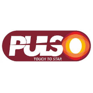 Pulso
