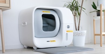 Смарт-туалет для котов: в чем преимущества и как выбрать